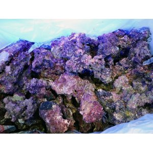 画像: A級ライブロック ブロックタイプ1kg