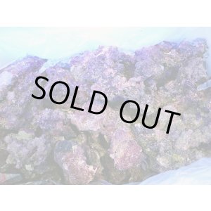 画像: 【特価】A級ライブロック ブロックタイプ1BOX（約15kg）
