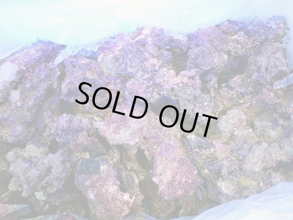 画像1: 【特価】A級ライブロック ブロックタイプ1BOX（約15kg）