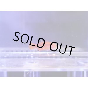 画像: オレンジストライプバスレット02