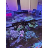 画像: オリジナル3D　ReefVeiwホルダー