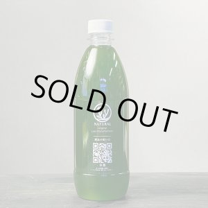 画像: メンバー新規加入者限定！プレゼントオリジナルライブフィトプランクトン500ml　送料別途