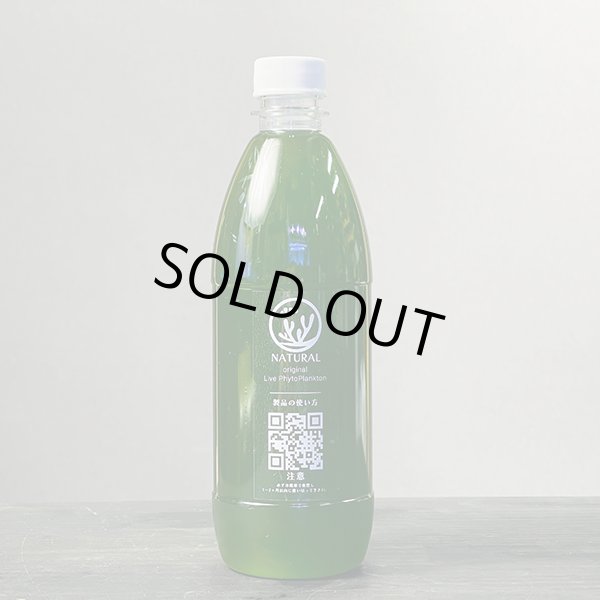 画像1: メンバー限定企画！プレゼントオリジナルライブフィトプランクトン500ml　送料別途