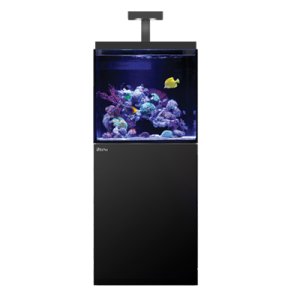 画像: 【取寄】Red Sea MAX-E170 Black 60cm水槽