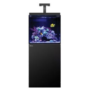 画像: 【取寄】Red Sea MAX-E170 Black　60ｃｍ水槽