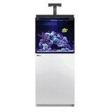 画像: 【取寄】Red Sea MAX-E170 White 60cm水槽
