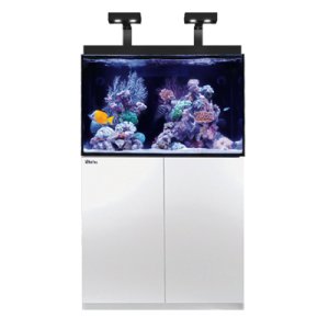 画像: 【取寄】Red Sea MAX-E260 White　90ｃｍ水槽