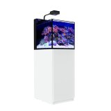 画像: 【取寄】Max Nano ペニンシュラG2　セット　60ｈｚホワイト