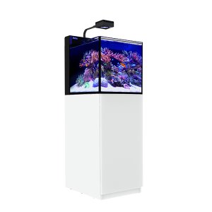画像: 【取寄】Max Nano ペニンシュラG2　セット　60ｈｚホワイト