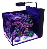 画像: 【取寄】Max Nano G2ペニンシュラ　60ｈｚ水槽単品