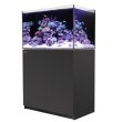 画像1: 【取寄】G2+プラスモデル（ATO付き）RedSea REEFER 250　Black(90cm)　フランジ付き