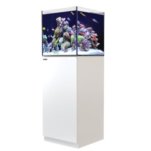 画像: 【取寄】G2+プラスモデル（ATO付き）RedSea REEFER 170　White(60cm)　フランジ付き