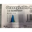 画像2: 【取寄】Grassy LeDio RX072e Custum Color Cyan