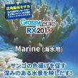 画像3: 【取寄】Grassy Ledio RX201 Marine（海水用）