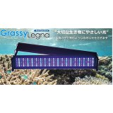 画像: GrassyLegna90 Marine