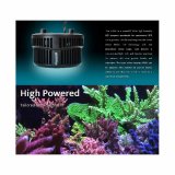 画像: kessil A500X Tuna Blue（max 185W)