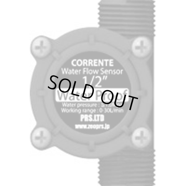 画像1: CORRENTE用　流量計1/2インチ　13A用（完全防水タイプ）