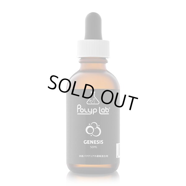 画像1: ポリプラボ　GENESIS
