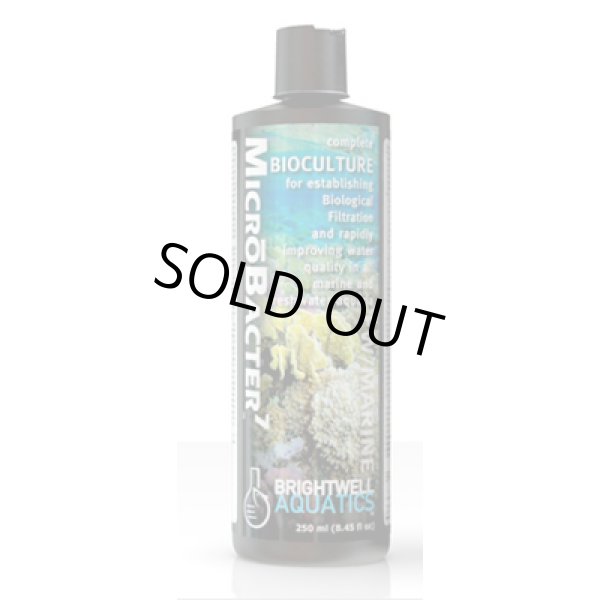 画像1: BRIGHTWELL MICRO BACTER7（マイクロバクターセブン） 125ml