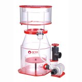 画像: 【取寄】OCTO Regal 300-INT