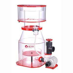画像: 【取寄】OCTO Regal 300-INT