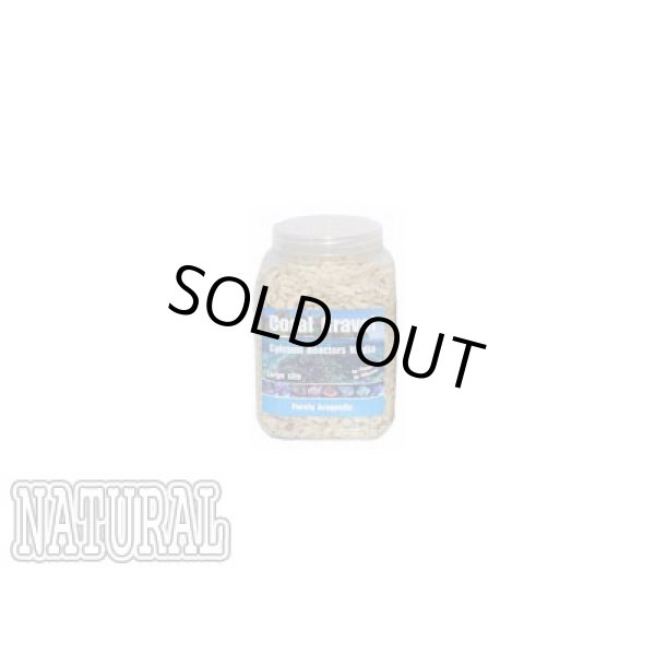画像1: 【取寄】Purely Aragonite L 3.5L