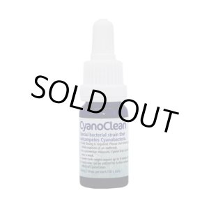 画像: KZ Cyano Clean 10ml