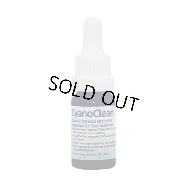 画像1: KZ Cyano Clean 10ml