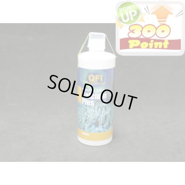 画像1: 【P】QFI　カルシウムプラス　500ml