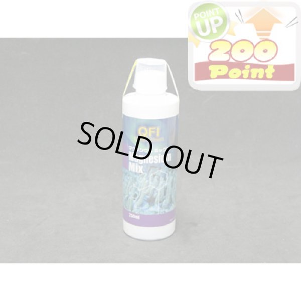 画像1: 【P】QFI　マグネシウムミックス　250ml