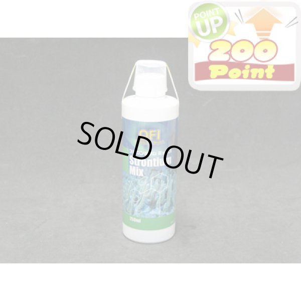 画像1: 【P】QFI　ストロンチウムミックス　250ml