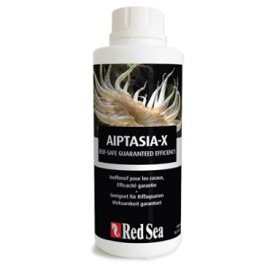 画像: 【取寄】AIPTASIA-X（アイプタシア-X）詰替え用500ml