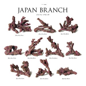 画像: 【ORCA】　オーシャンロック Japan Branch