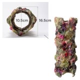 画像: 【取寄】ライブロックリング 40cm