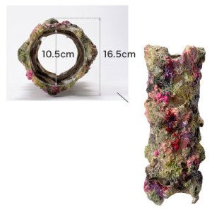 画像: 【取寄】ライブロックリング 40cm