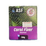 画像: Coral Fixer HoldFast シリコンベース