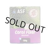 画像: Coral Fixer HoldFast シリコンベース