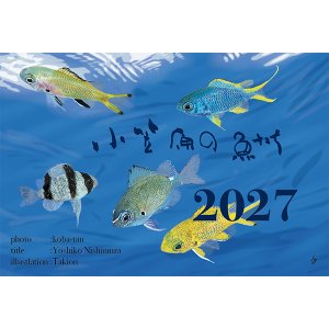 画像: 2027年　小笠原の魚たちカレンダー　イラスト瀧音