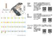 画像14: 2027年　小笠原の魚たちカレンダー　イラスト瀧音