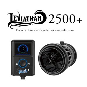 画像: 【取寄】ZOOX　リヴァイアサン 2500+ プラス