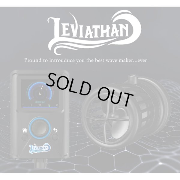 画像1: 【取寄】Leviathan 5000　リヴァイアサン