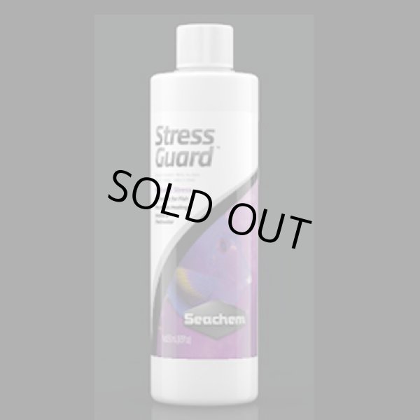画像1: Seachem ストレスガード　100ｍｌ