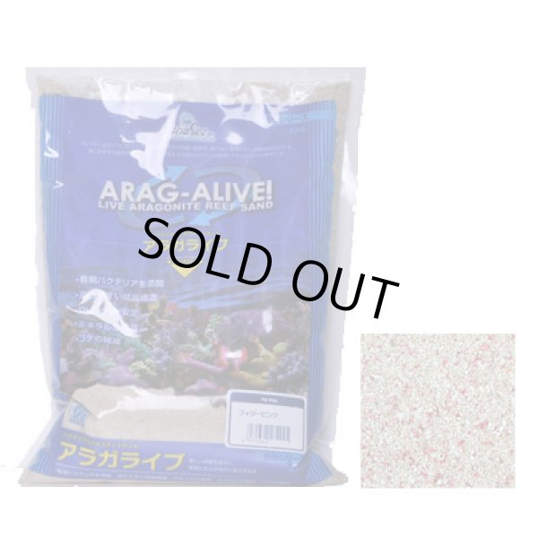 画像1: アラガライブ フィジーピンク 10LBS(4.53Kg)