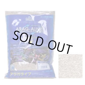 画像: アラガライブ SPグレード 10LBS(4.53Kg)