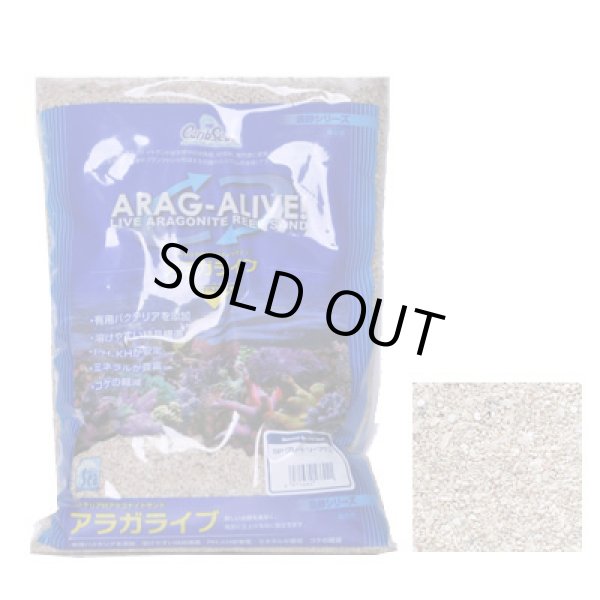 画像1: アラガライブ SPグレード 20LBS(9.1Kg)