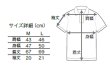 画像3: 【数量限定】レッドシー・ポロシャツ 2020 バージョン Lサイズ