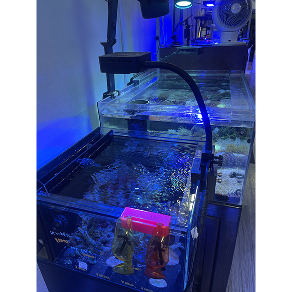 画像4: オリジナル3D　フランジ水槽用補助ライトスタンド