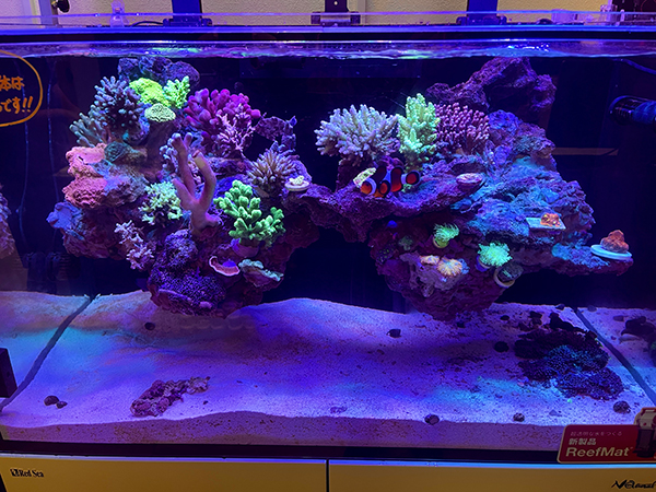 画像1: 【特許登録済み 浮くレイアウト】オリジナルフローティングリーフロック　その他の水槽要相談