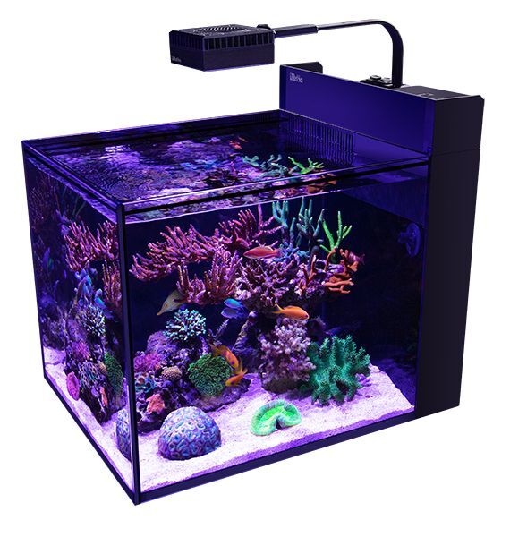 画像1: 【取寄】Max Nano G2ペニンシュラ　60ｈｚ水槽単品