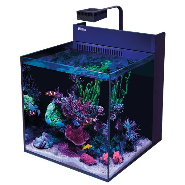 画像1: 【取寄】RedSea MaxNanoG2 XL 60hz水槽単品